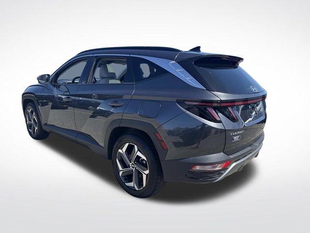 Used 2024 Hyundai Tucson Limited AWD/4WD image 3