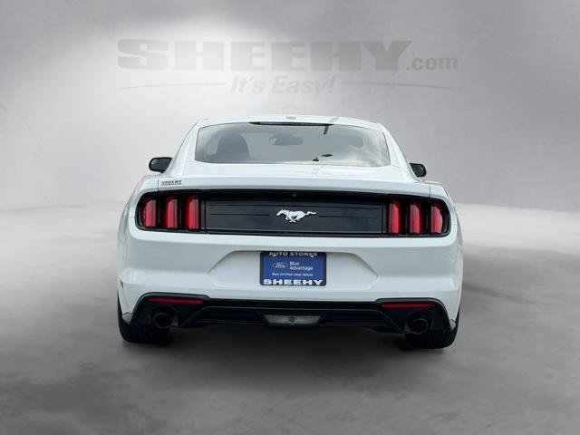 Certified 2019 Ford Mustang Coupe RWD image 14