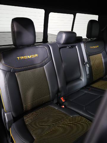 Certified 2025 Ford F150 Tremor w/ Equipment Group 402A High AWD/4WD image 10