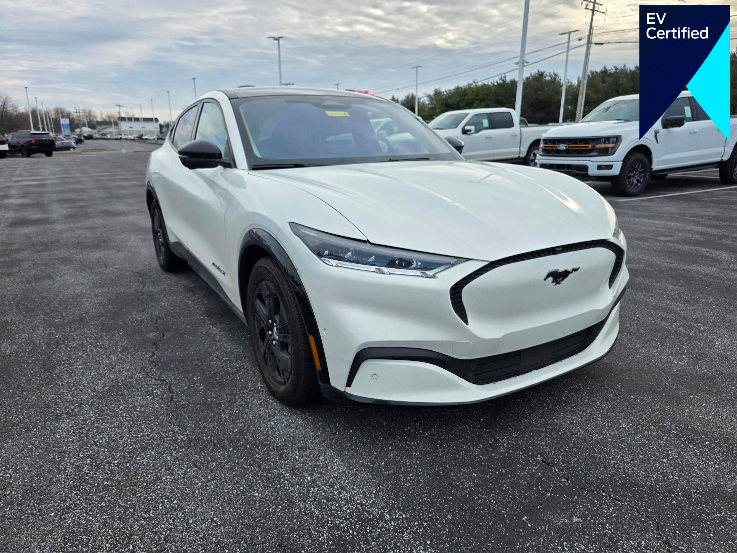 Certified 2021 Ford Mustang Mach-E California Route 1