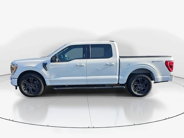 Certified 2023 Ford F150 XLT w/ Equipment Group 302A High RWD image 6