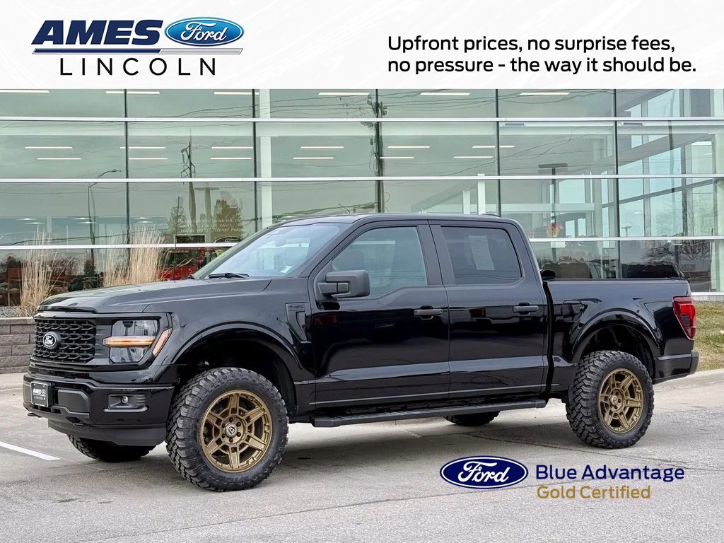 Certified 2025 Ford F150 STX w/ STX Black Appearance Package image 6