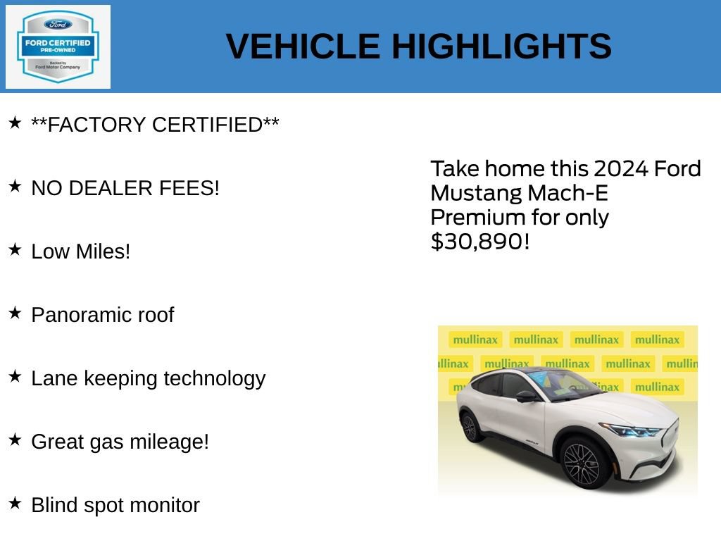 Certified 2024 Ford Mustang Mach-E Premium RWD image 11