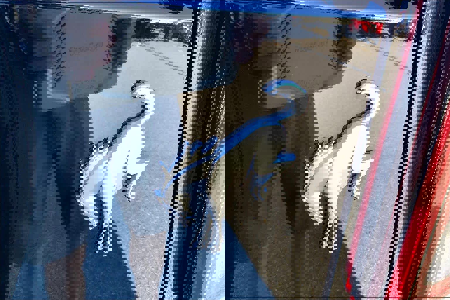 Certified 2024 Ford Bronco Big Bend image 12