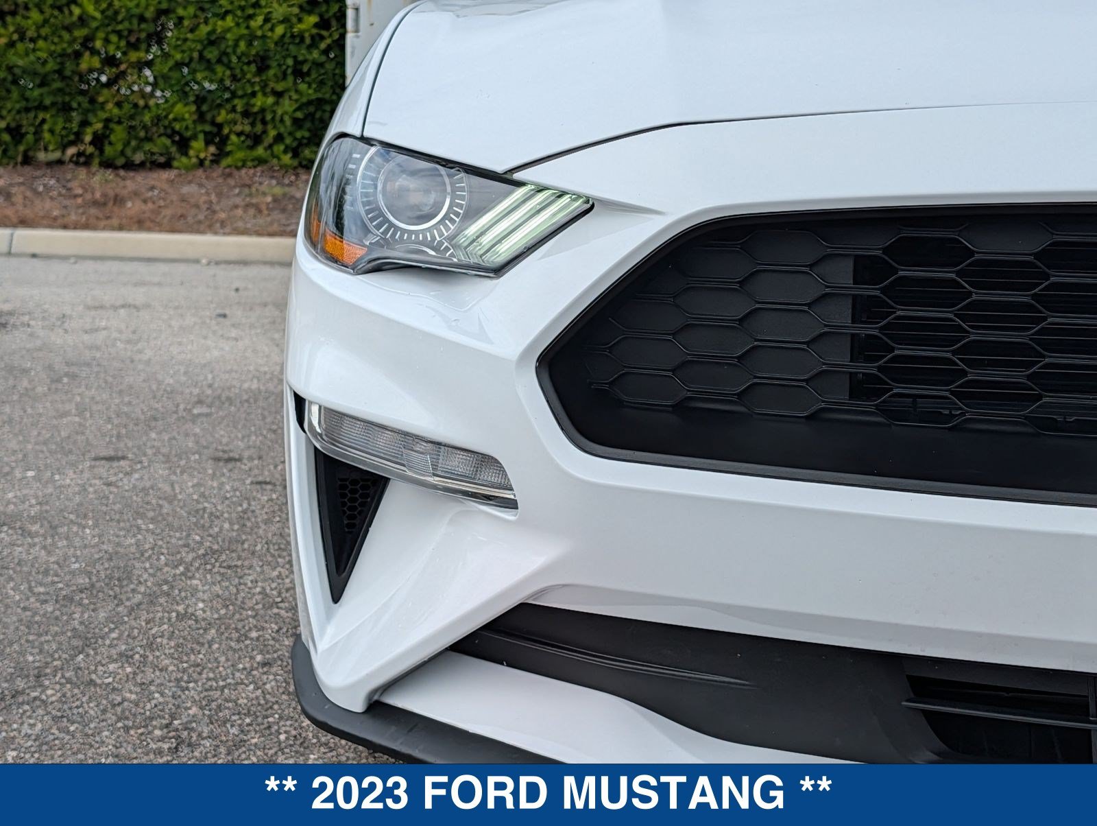 Certified 2023 Ford Mustang Premium RWD image 10