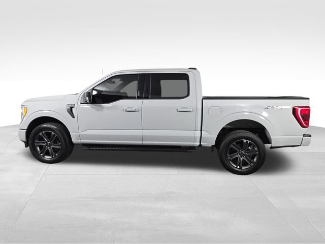 Certified 2023 Ford F150 XLT w/ Equipment Group 302A High AWD/4WD image 4