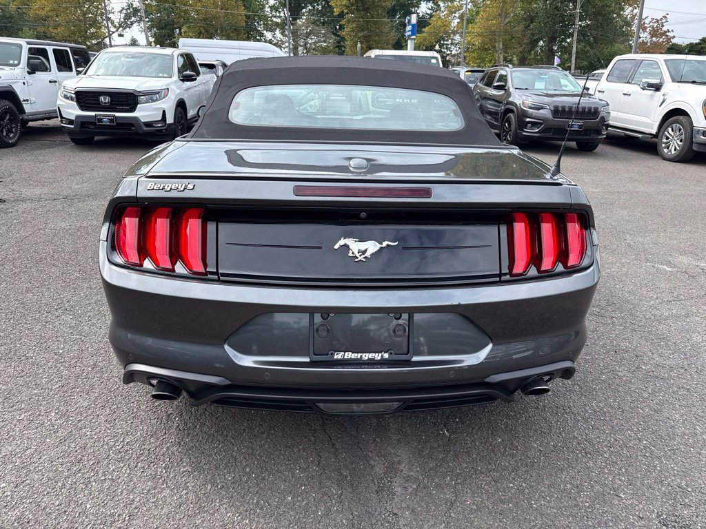 Certified 2019 Ford Mustang Premium w/ Equipment Group 201A RWD image 6