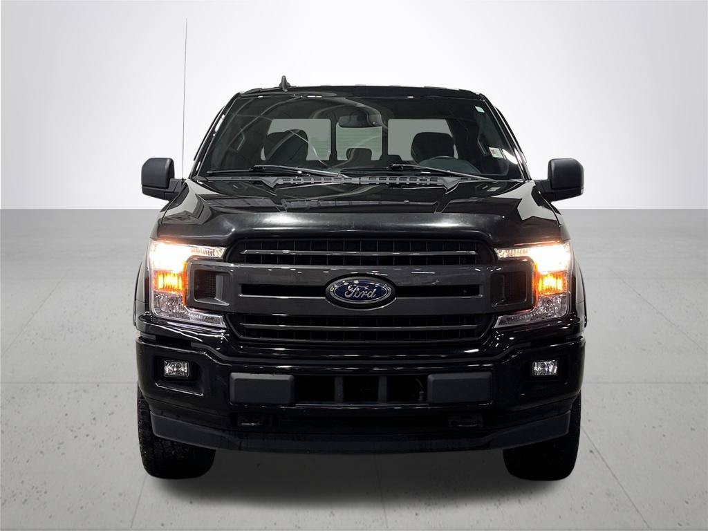 Certified 2019 Ford F150 XLT w/ Equipment Group 302A Luxury AWD/4WD image 4