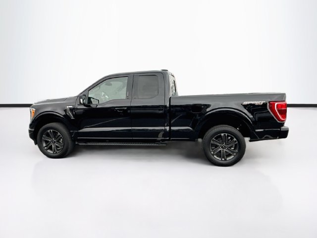 Certified 2023 Ford F150 XLT w/ Equipment Group 302A High AWD/4WD image 6