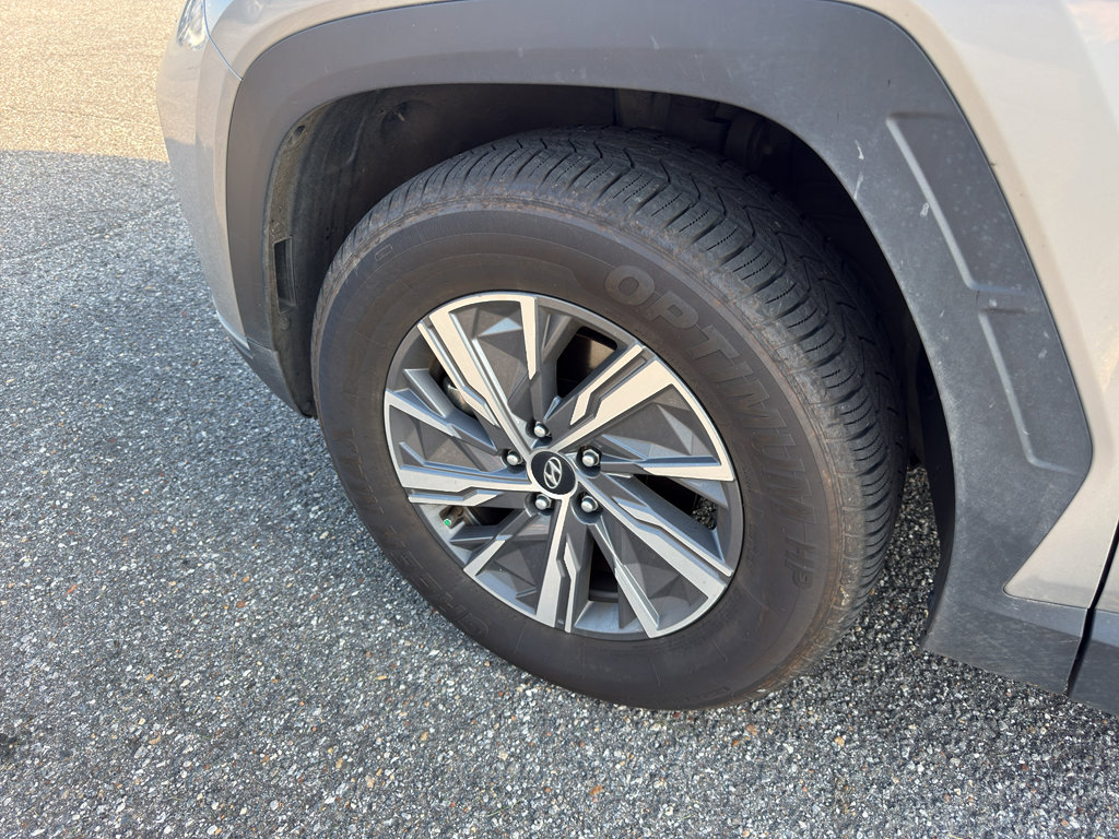 Used 2023 Hyundai Tucson Blue image 4