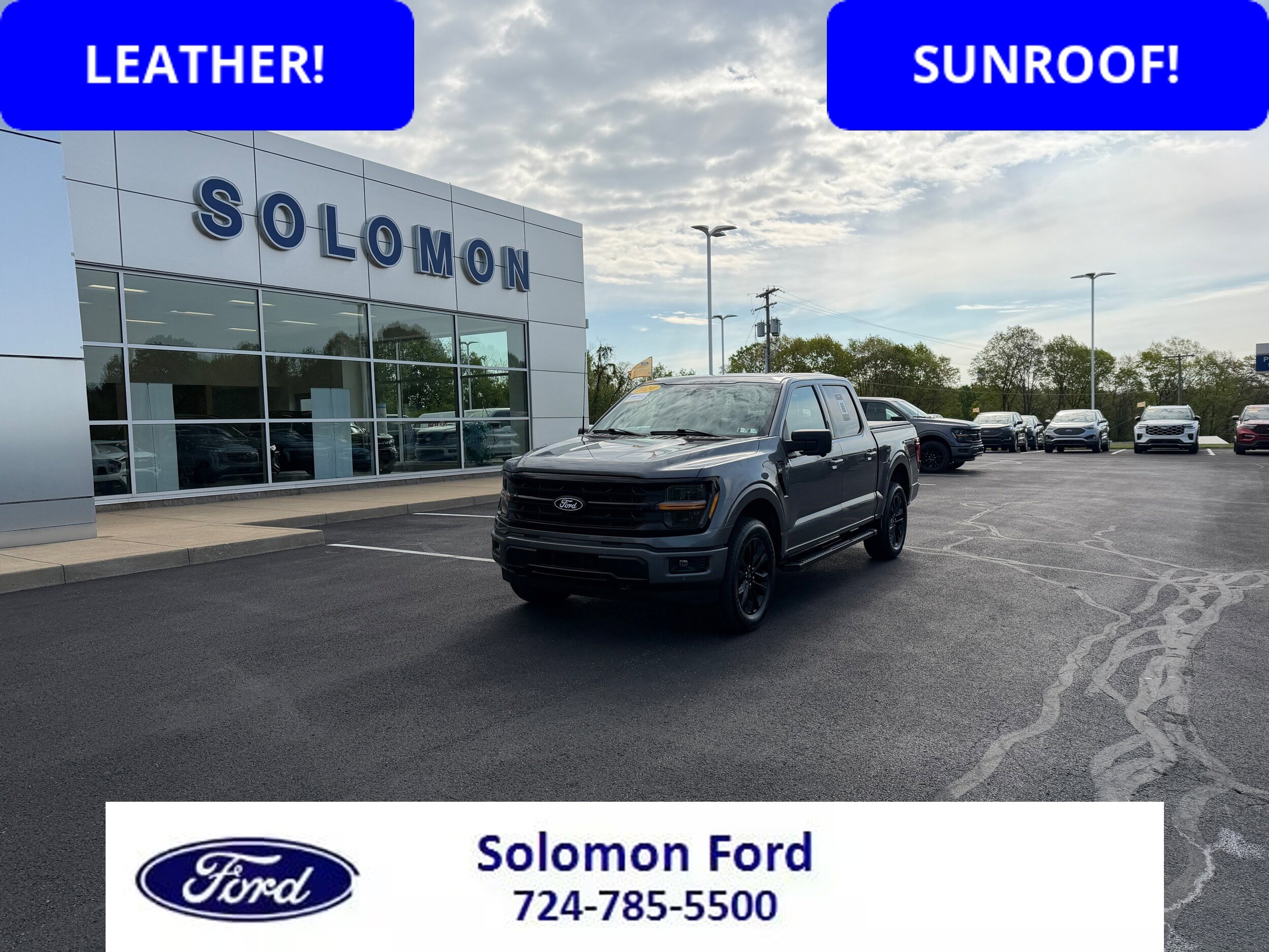 Certified 2024 Ford F150 XLT w/ Equipment Group 303A High