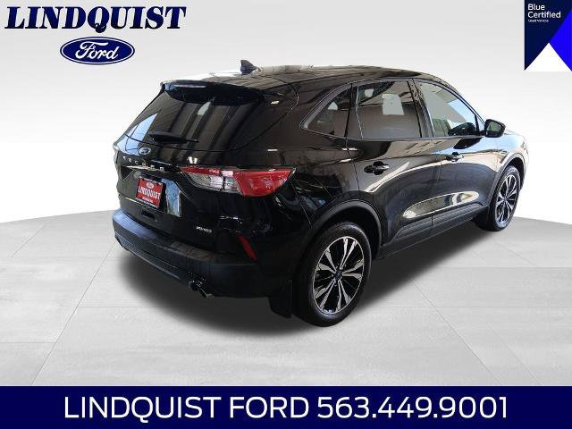 Certified 2022 Ford Escape SE w/ SE Sport Appearance Package AWD/4WD image 6