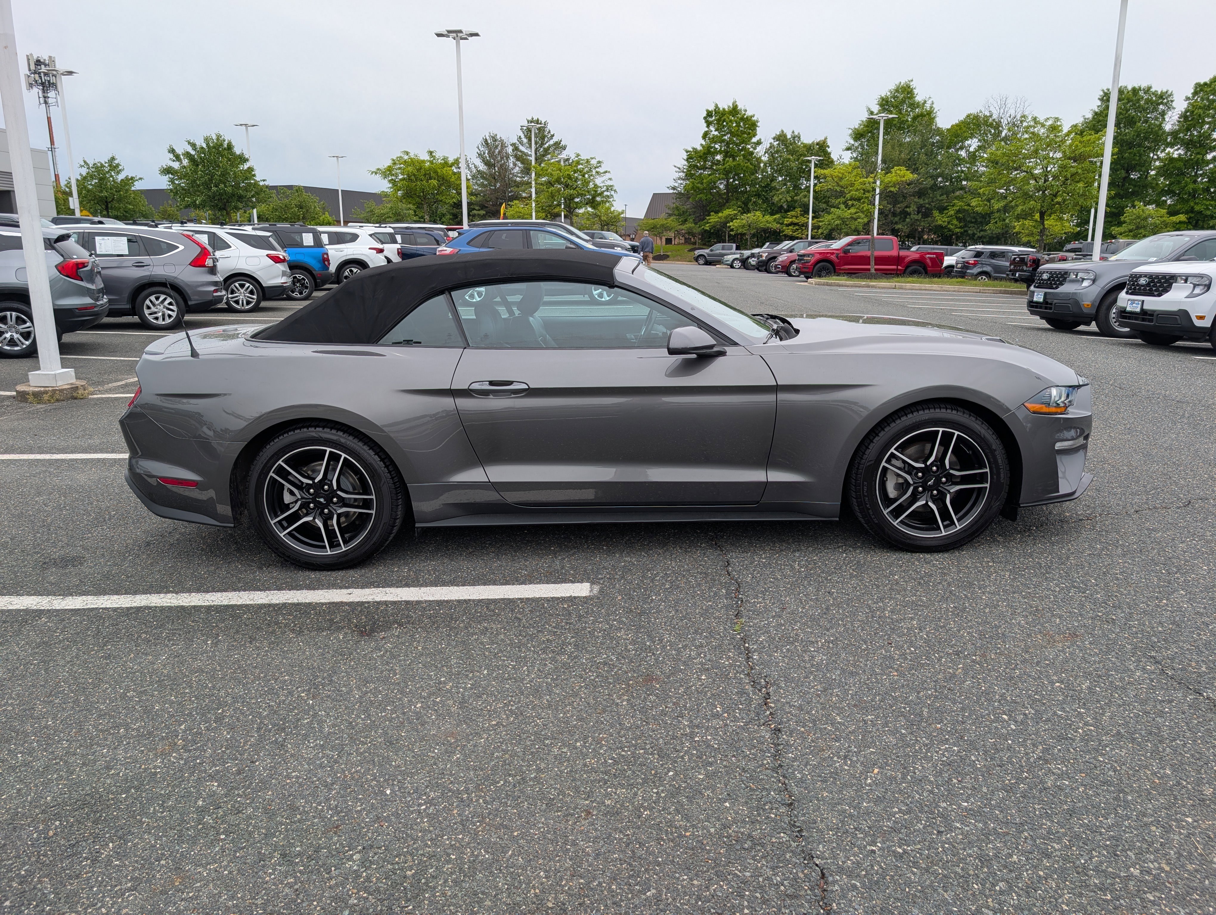 Certified 2023 Ford Mustang Premium RWD image 2