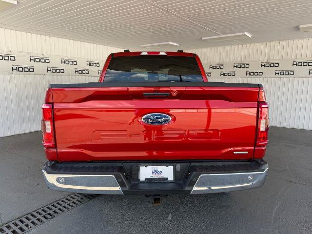 Certified 2023 Ford F150 XLT w/ Equipment Group 302A High AWD/4WD image 22