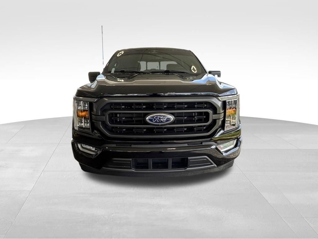 Certified 2023 Ford F150 XLT w/ Equipment Group 302A High RWD image 10