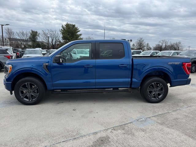 Certified 2023 Ford F150 XLT w/ Equipment Group 302A High image 2