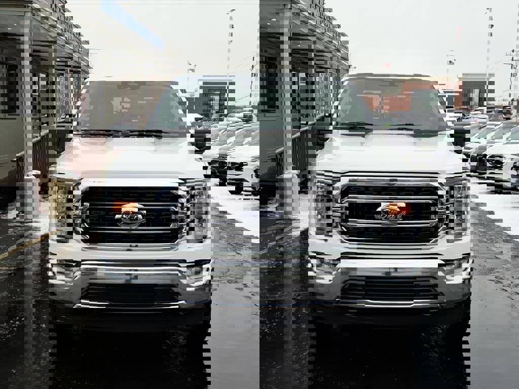 Certified 2023 Ford F150 XLT w/ Equipment Group 302A High image 2