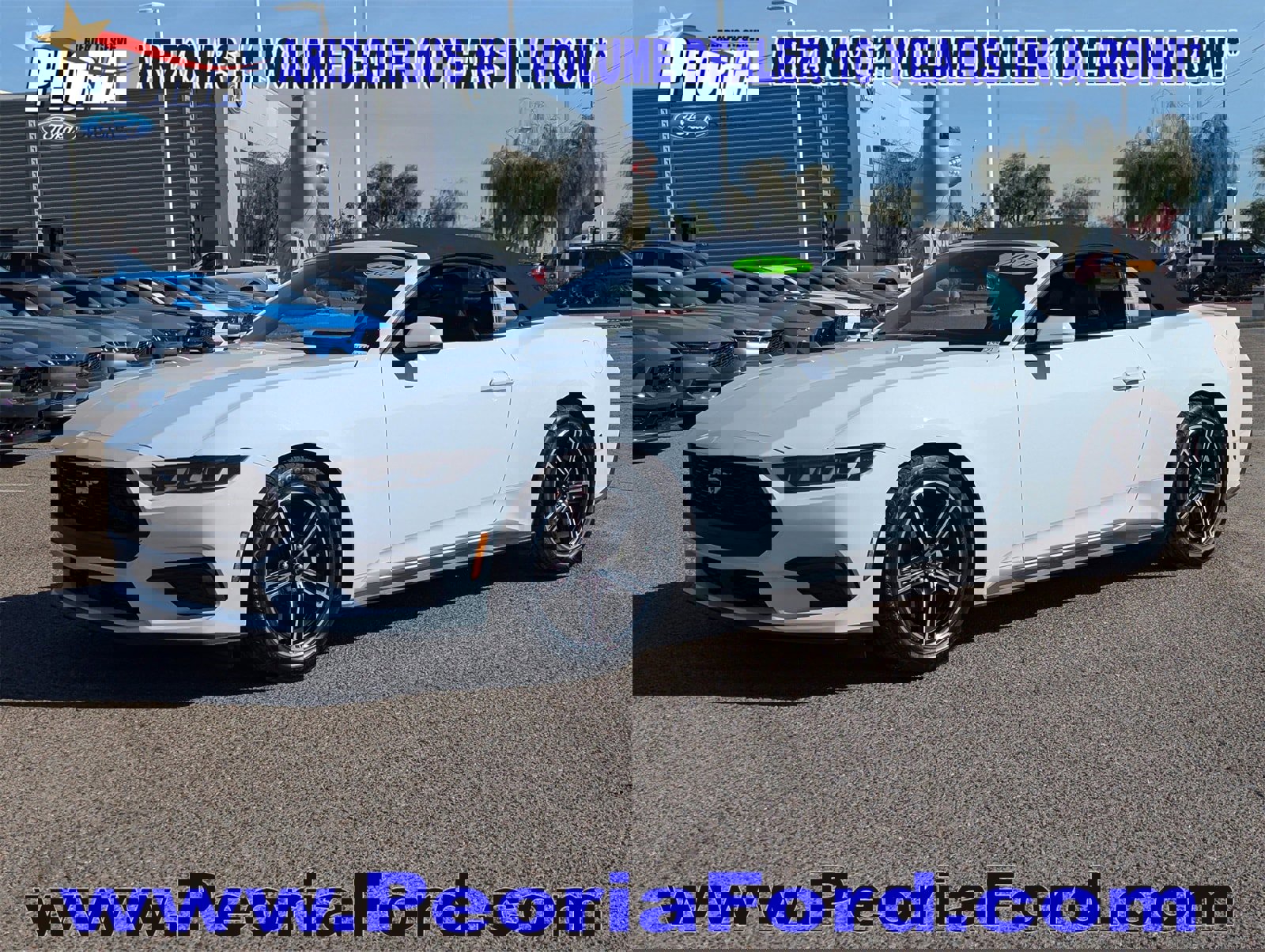 Certified 2024 Ford Mustang Premium image 1