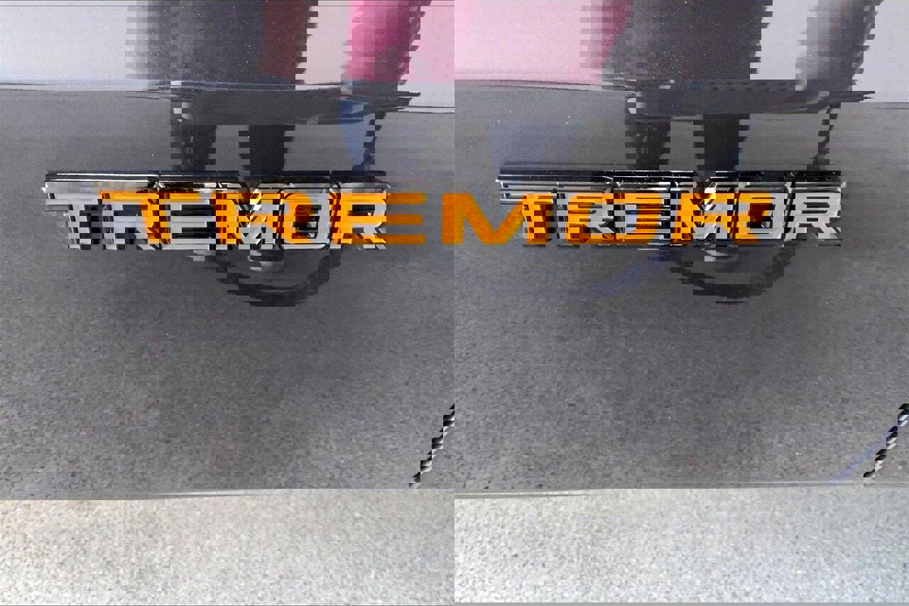 Certified 2025 Ford Expedition Tremor image 7