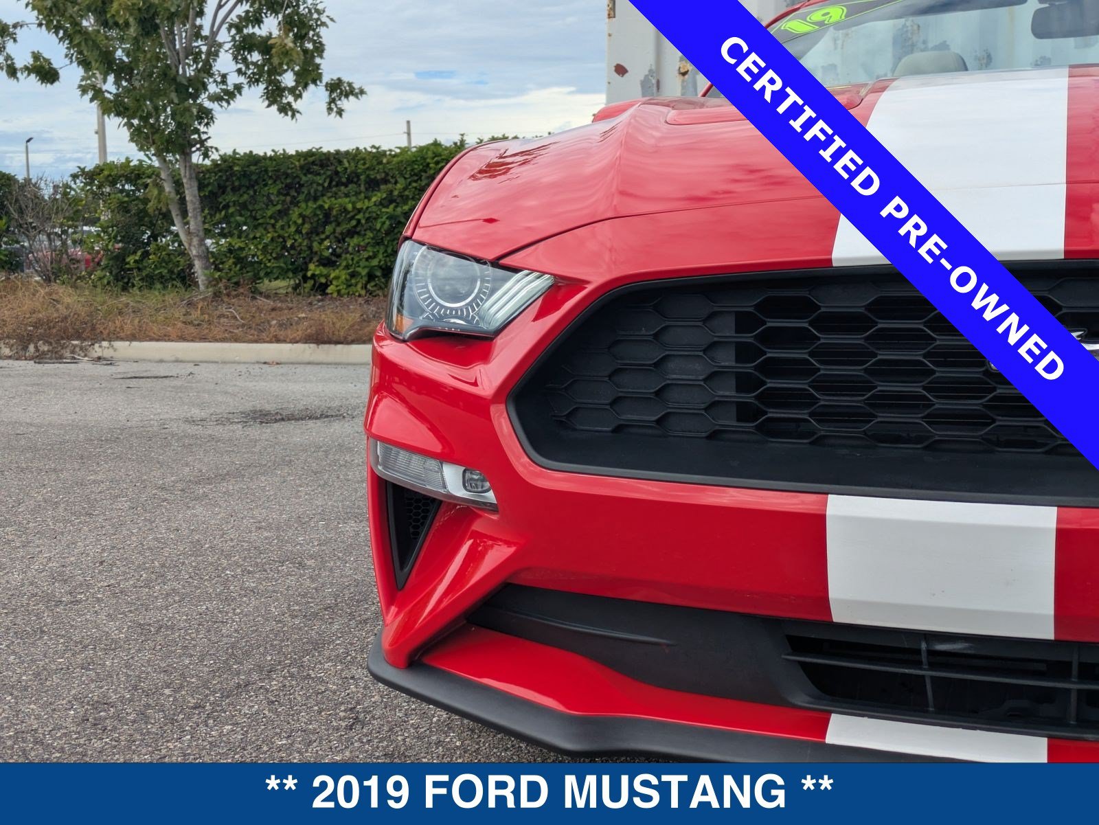 Certified 2019 Ford Mustang Premium RWD image 10