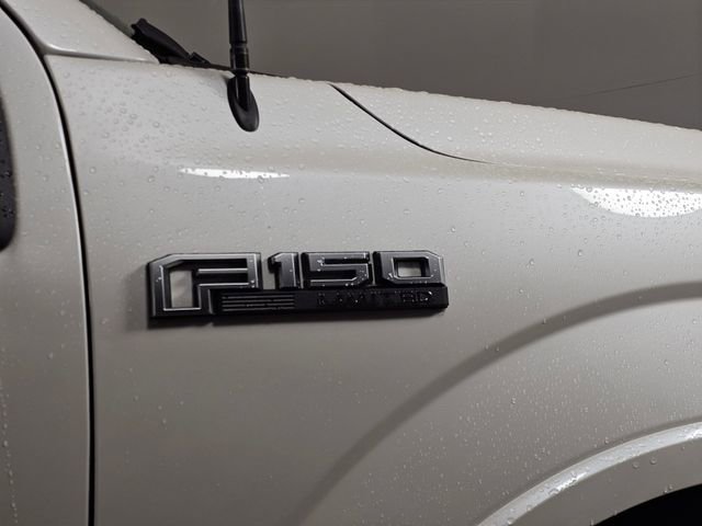 Certified 2019 Ford F150 Limited image 10