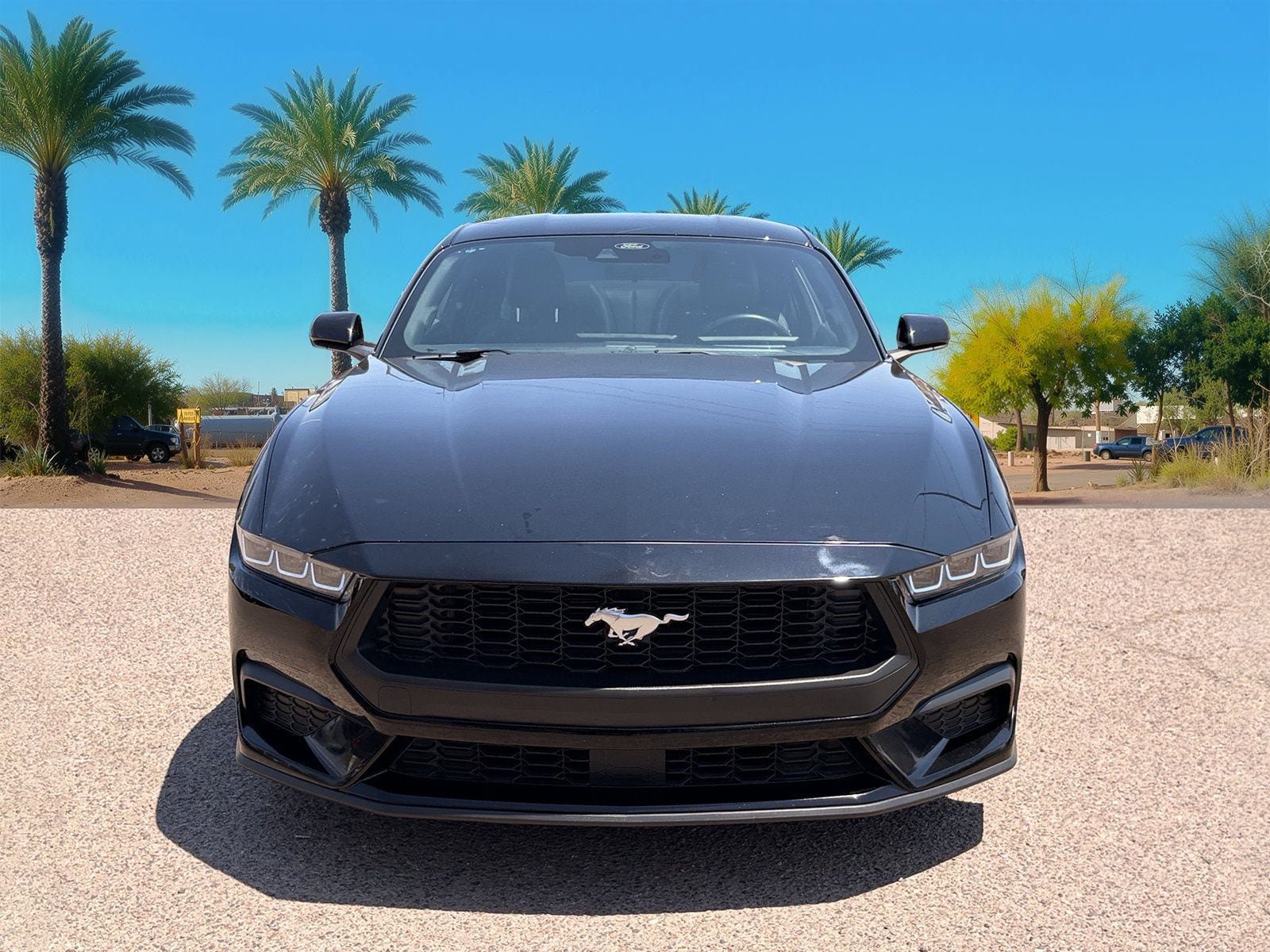 Certified 2024 Ford Mustang Coupe RWD image 8