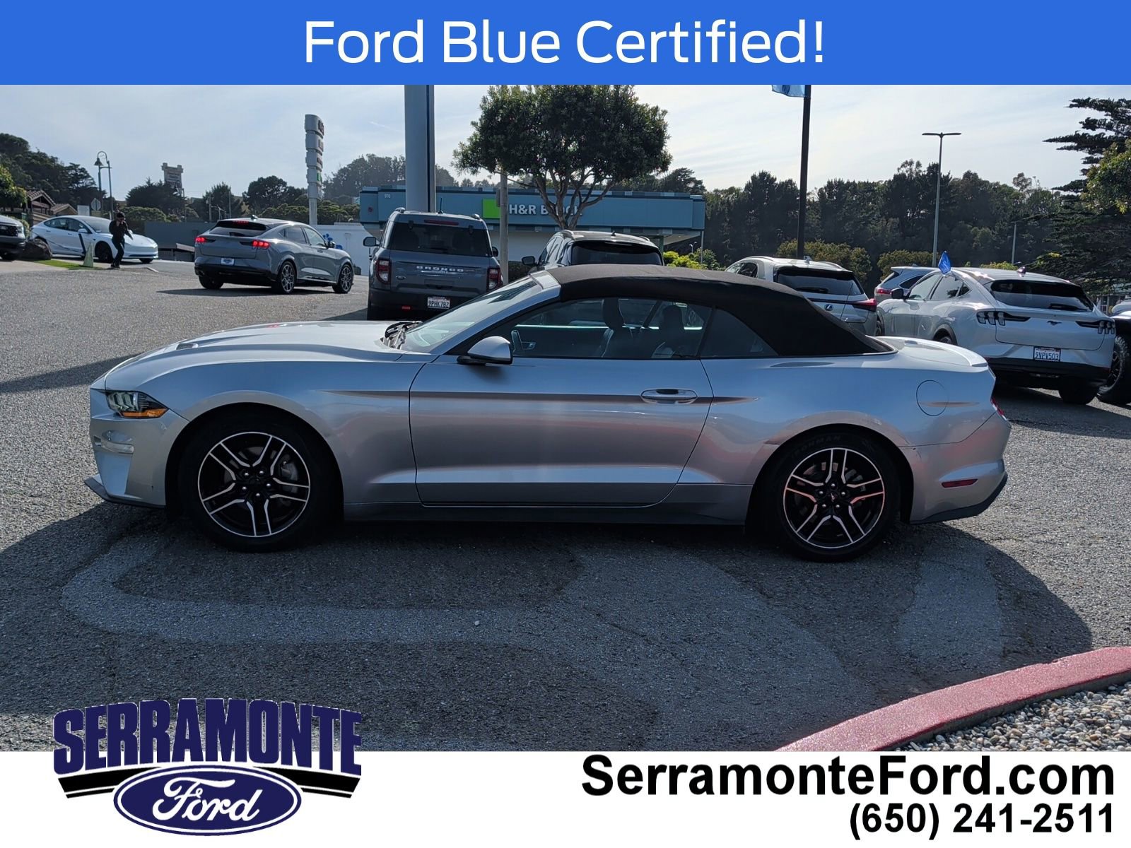 Certified 2021 Ford Mustang Premium image 8