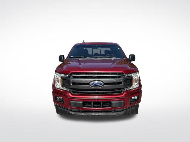 Certified 2019 Ford F150 XLT w/ Equipment Group 302A Luxury RWD image 3