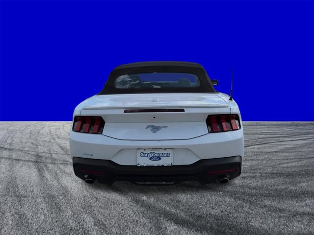 Certified 2024 Ford Mustang Premium image 5