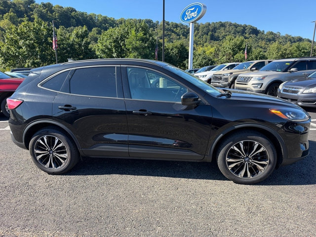 Certified 2022 Ford Escape SEL w/ SEL Stealth AWD Package image 10