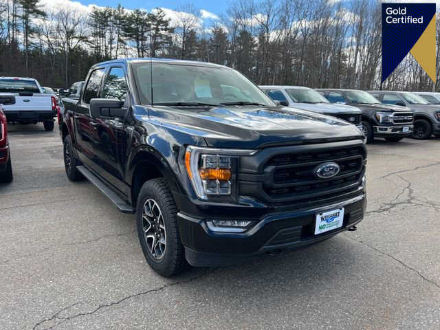 Certified 2023 Ford F150 XLT w/ Equipment Group 302A High