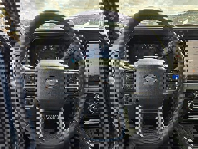 Certified 2025 Ford F450 Platinum image 26