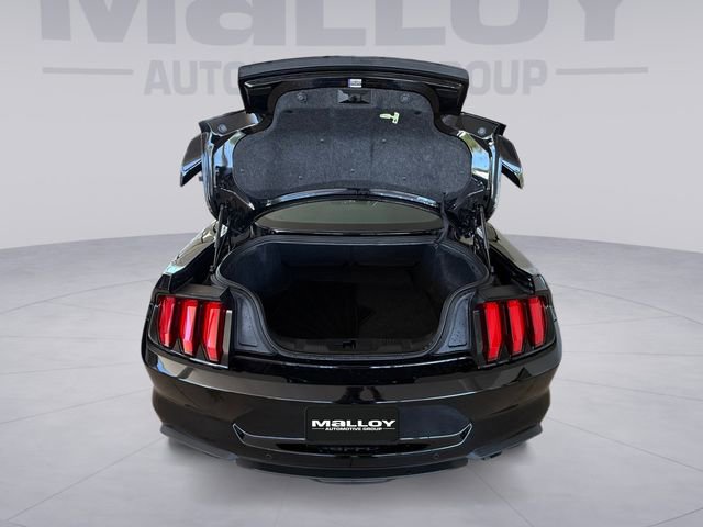 Certified 2021 Ford Mustang GT Premium w/ GT Performance Package RWD image 19