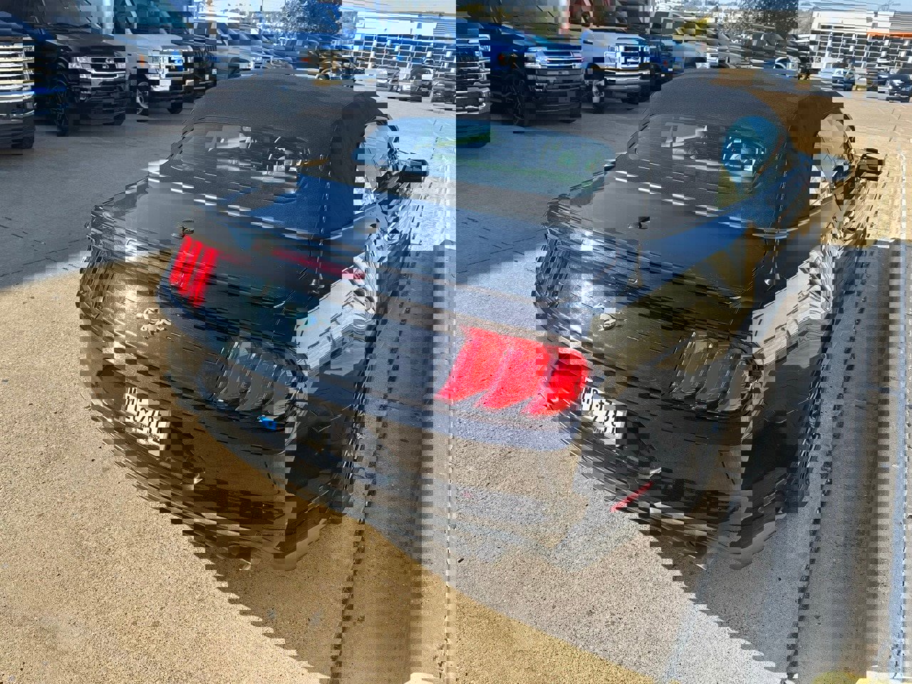 Certified 2018 Ford Mustang Premium w/ Equipment Group 201A image 7