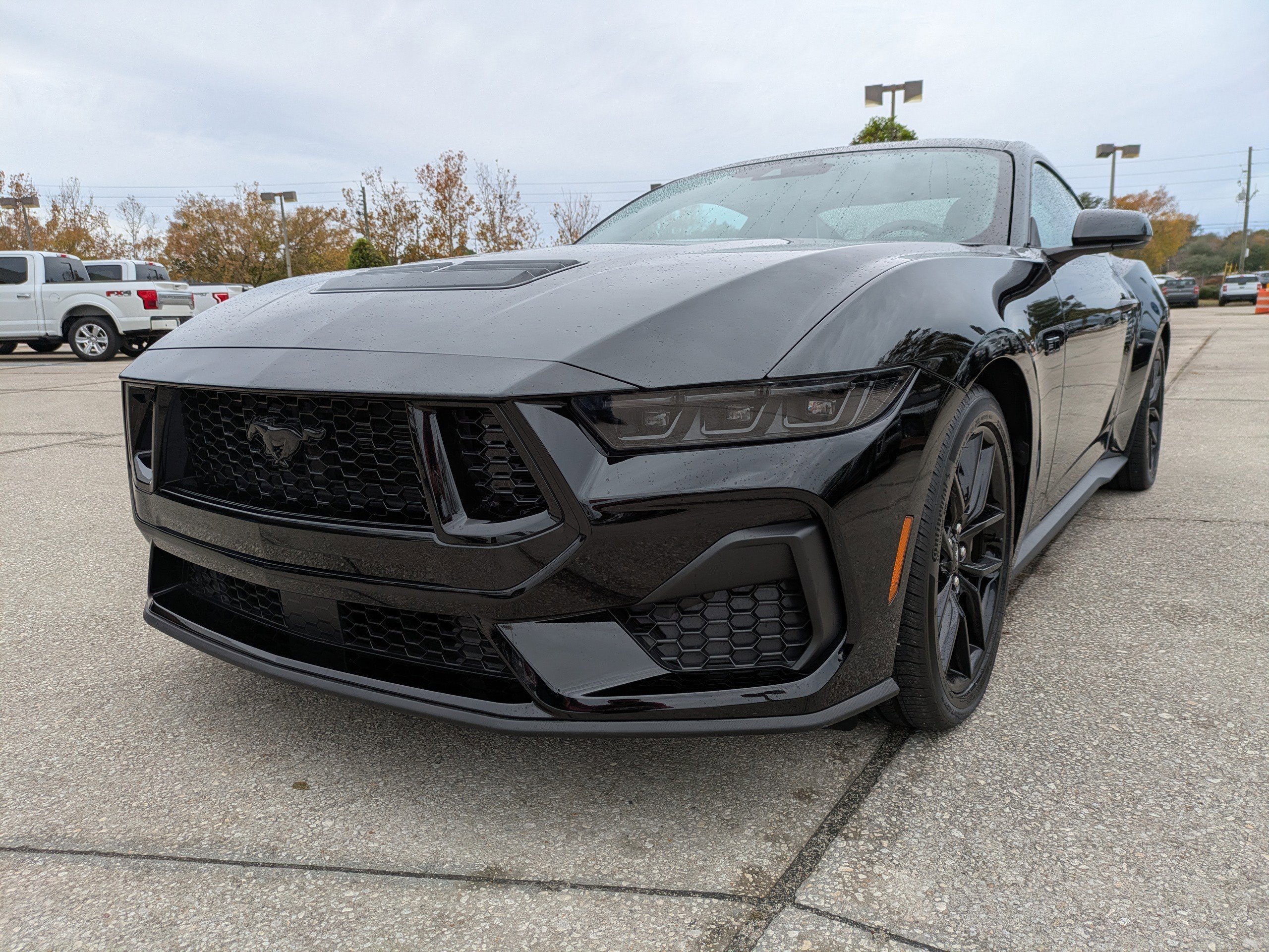 Certified 2025 Ford Mustang GT Premium w/ Mustang Nite Pony Package image 8