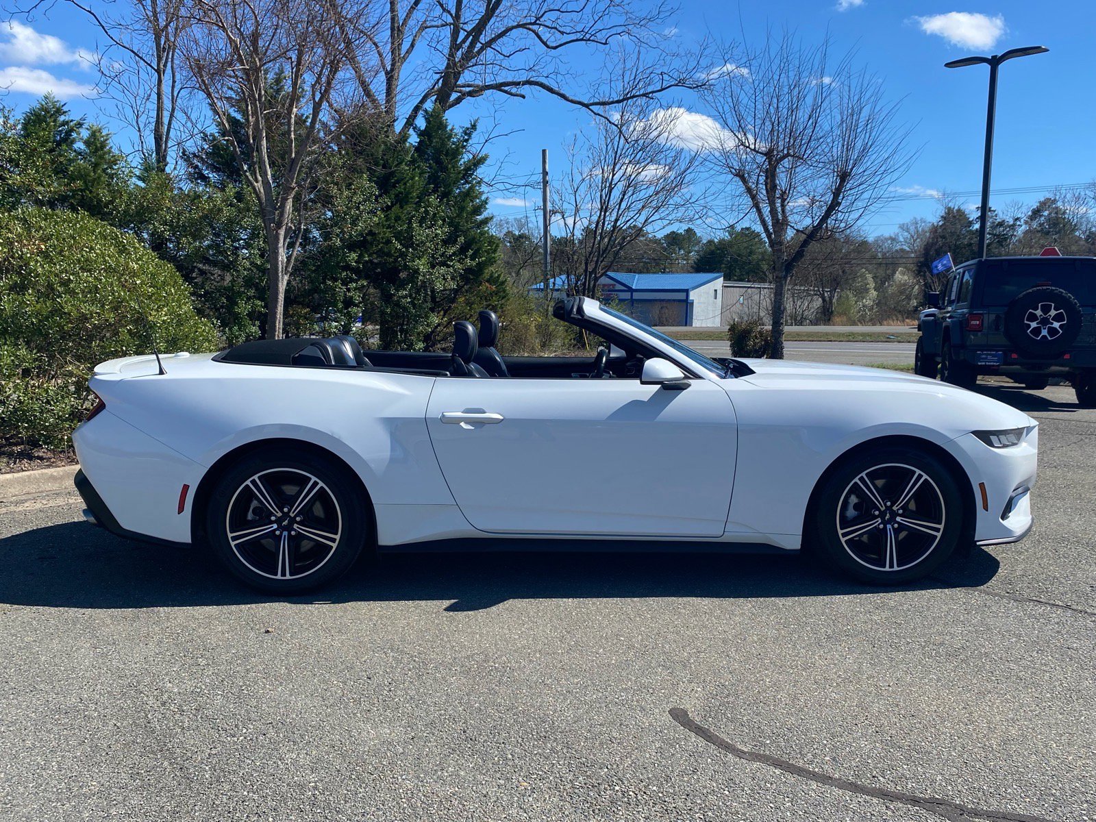 Certified 2024 Ford Mustang Premium image 3