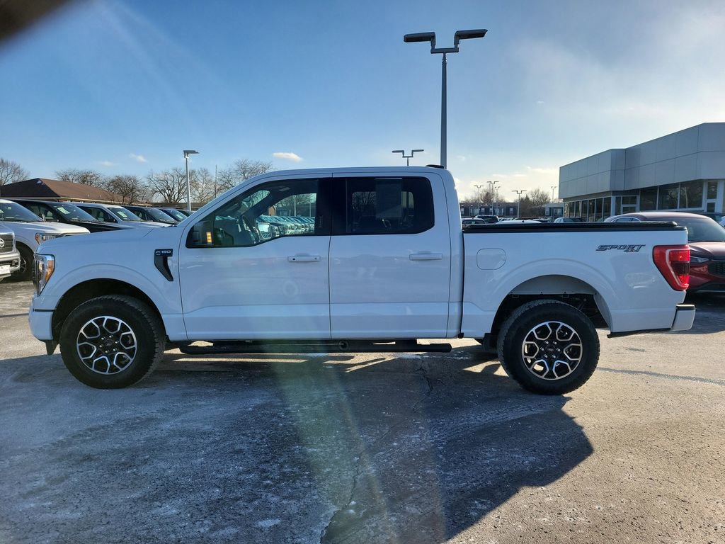 Certified 2023 Ford F150 XLT w/ Equipment Group 302A High video 2