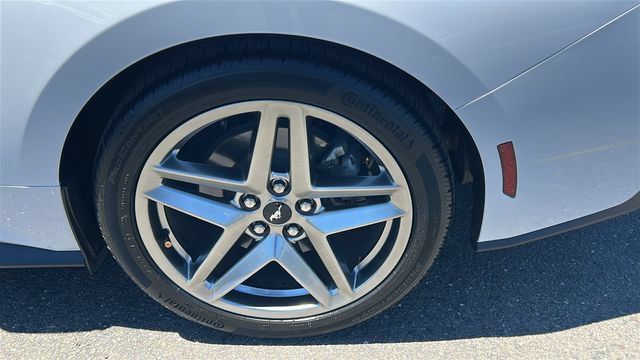 Certified 2024 Ford Mustang Premium RWD image 6