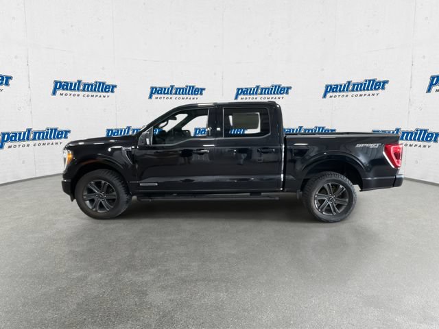 Certified 2023 Ford F150 XLT w/ Equipment Group 302A High AWD/4WD image 11