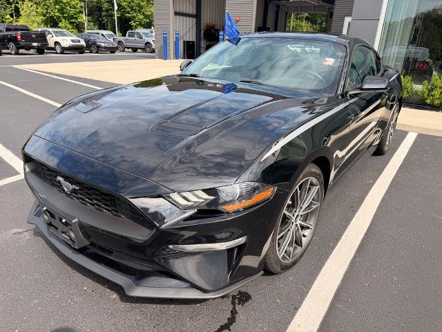 Certified 2019 Ford Mustang Coupe w/ Equipment Group 101A RWD image 13