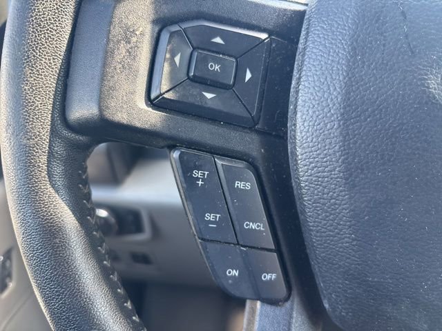 Certified 2019 Ford F150 XLT w/ Equipment Group 302A Luxury RWD image 8