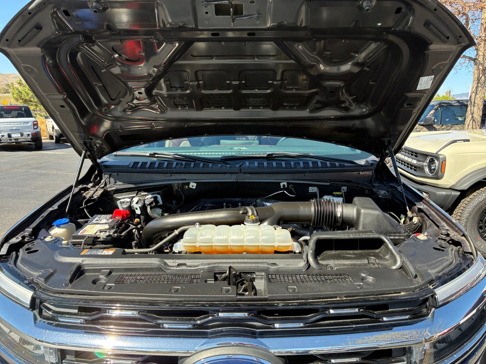 Certified 2024 Ford Expedition Limited image 22