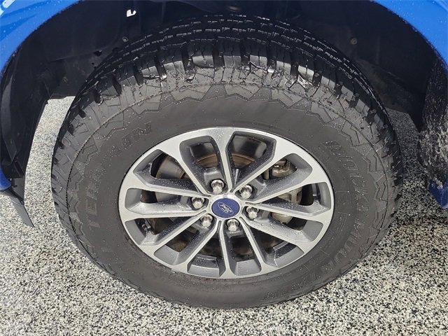 Certified 2019 Ford F150 XLT w/ Equipment Group 302A Luxury image 5