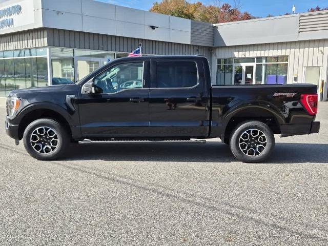 Certified 2023 Ford F150 XLT w/ Equipment Group 302A High AWD/4WD image 5