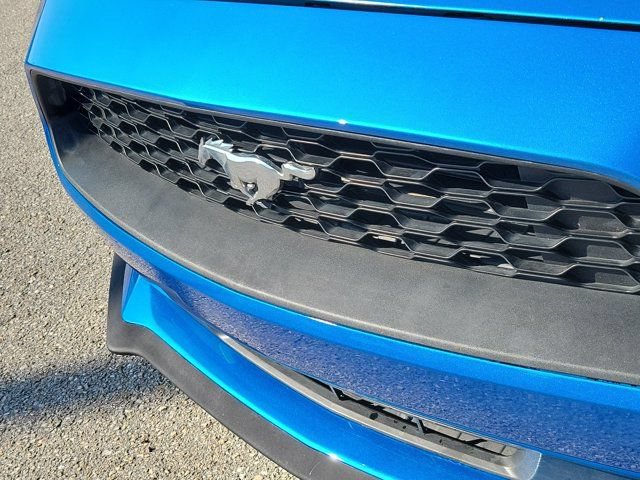 Certified 2021 Ford Mustang Premium RWD image 11