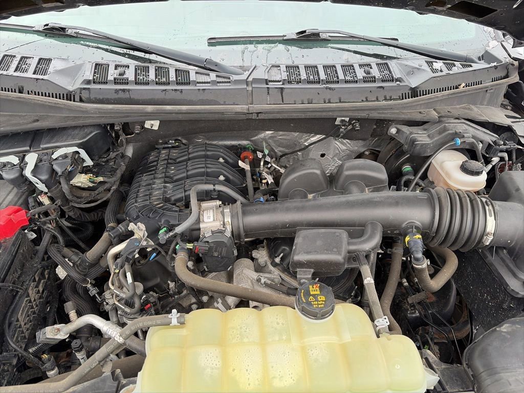 Certified 2019 Ford F150 XL w/ Equipment Group 101A Mid image 19