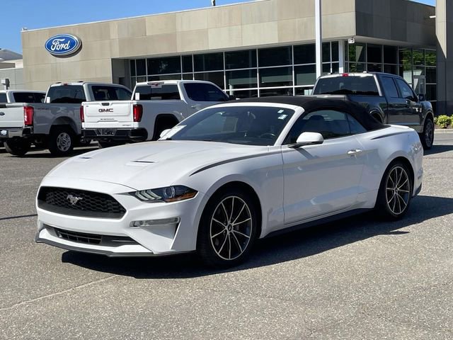 Certified 2019 Ford Mustang Premium w/ Equipment Group 201A RWD video 2