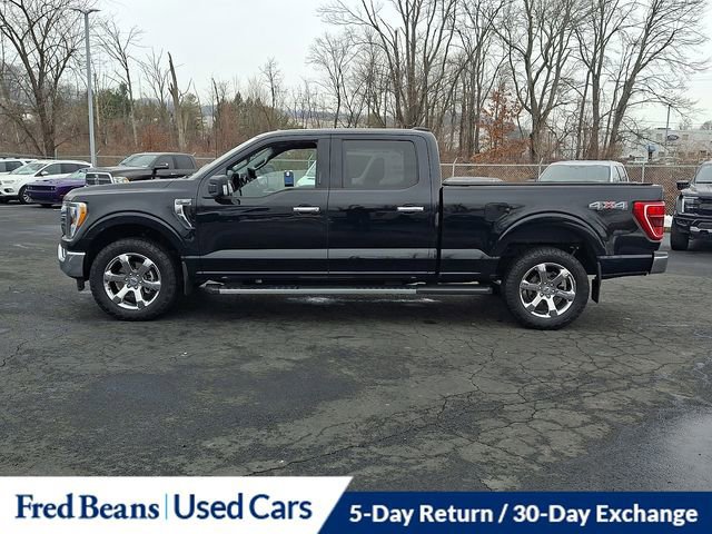 Certified 2023 Ford F150 XLT w/ Equipment Group 302A High image 4