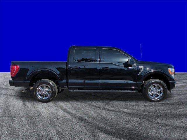 Certified 2022 Ford F150 XLT w/ Equipment Group 301A Mid image 6