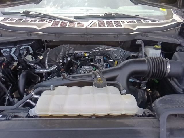 Certified 2023 Ford F150 XL w/ STX Black Appearance Package image 34